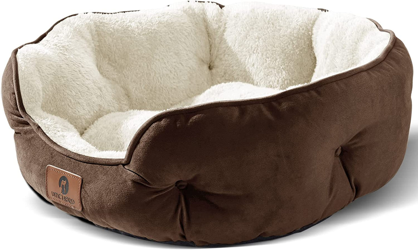 CosyNest: Soft & Washable Pet Bed for Small Dogs and Cats