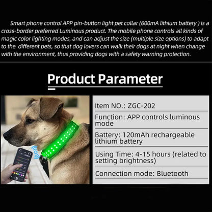 Rechargeable LED Dog Collar with USB Charging | Light-Up Safety Collar for Puppies & Dogs