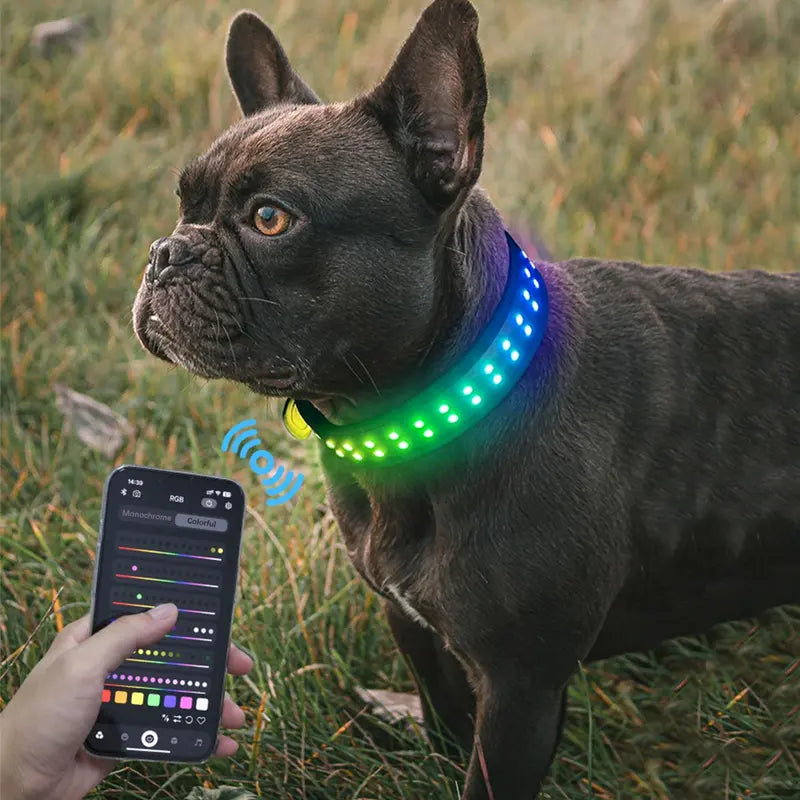 Rechargeable LED Dog Collar with USB Charging | Light-Up Safety Collar for Puppies & Dogs