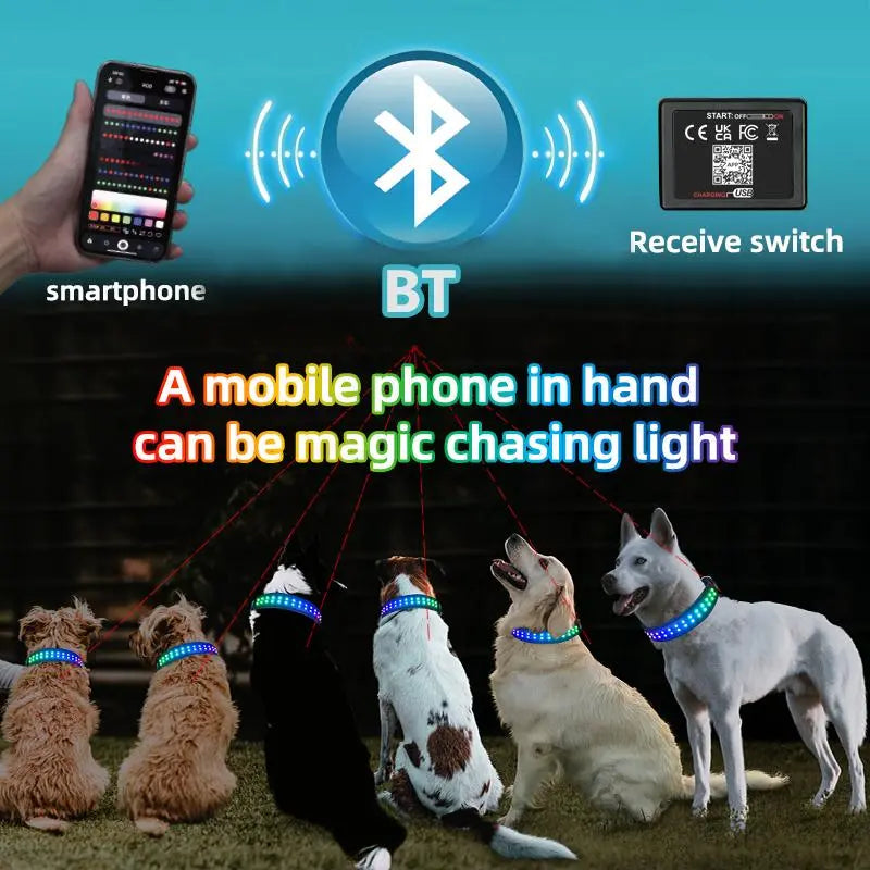 Rechargeable LED Dog Collar with USB Charging | Light-Up Safety Collar for Puppies & Dogs