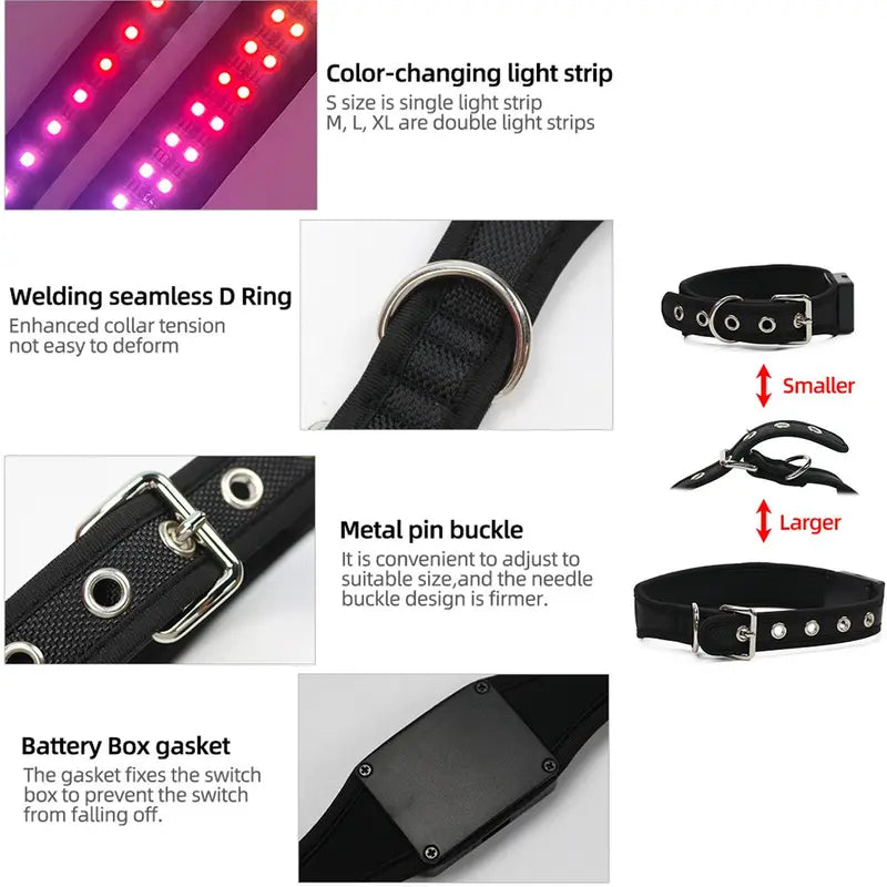 Rechargeable LED Dog Collar with USB Charging | Light-Up Safety Collar for Puppies & Dogs