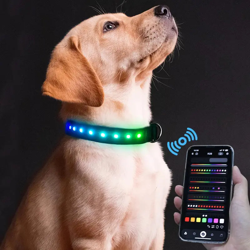 Rechargeable LED Dog Collar with USB Charging | Light-Up Safety Collar for Puppies & Dogs