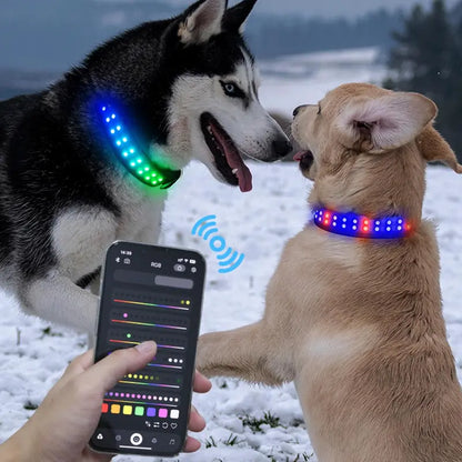 Rechargeable LED Dog Collar with USB Charging | Light-Up Safety Collar for Puppies & Dogs