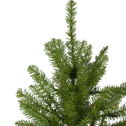 6.5' Unlit Northern Pine Full Artificial Christmas Tree with Stand